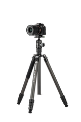 X-GO Max E 2